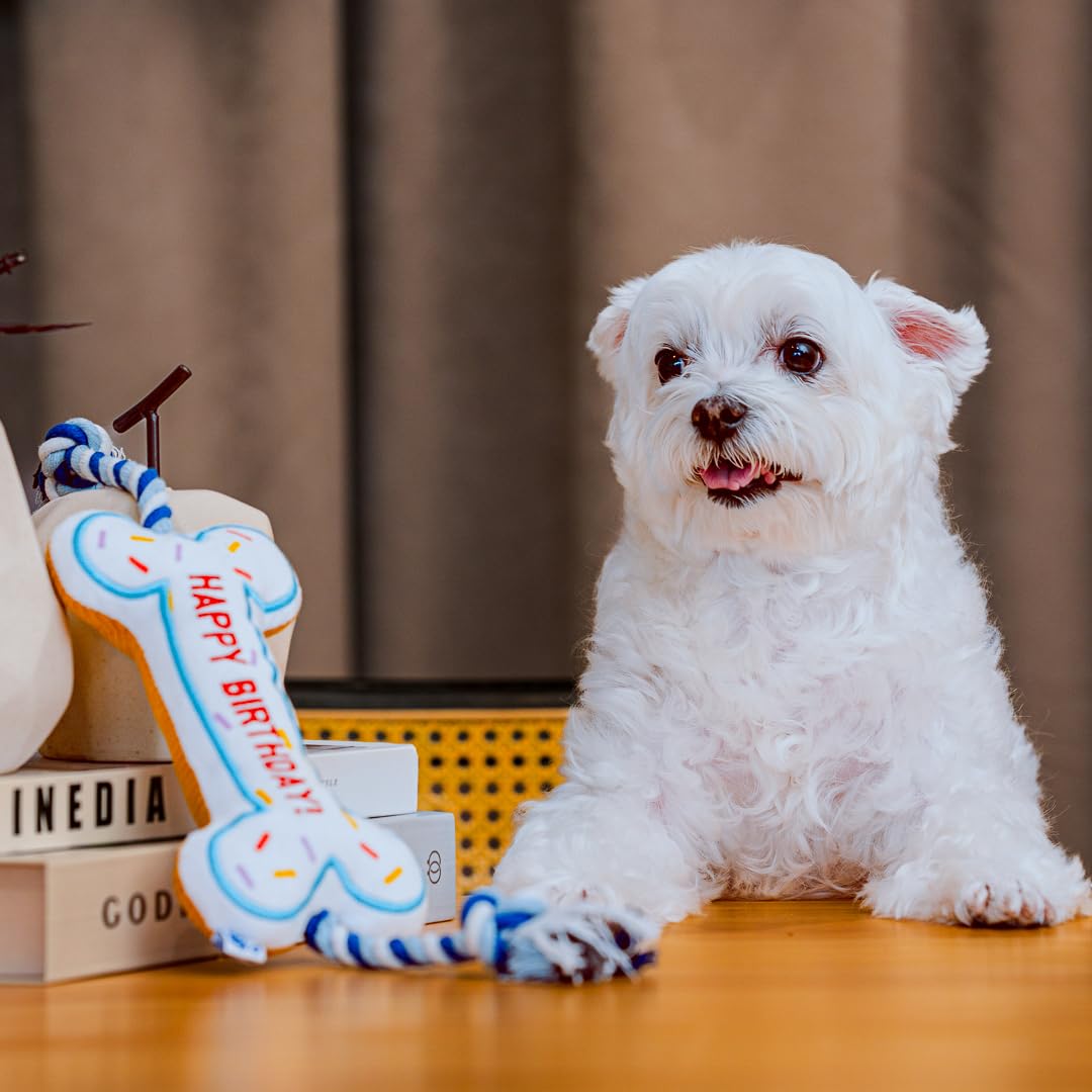 Pawty juguete-soft-perros-medianos: tamaño perfecto para razas pequeñas y medianas.