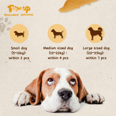 PAWUP alto contenido de proteína de pollo para perros activos