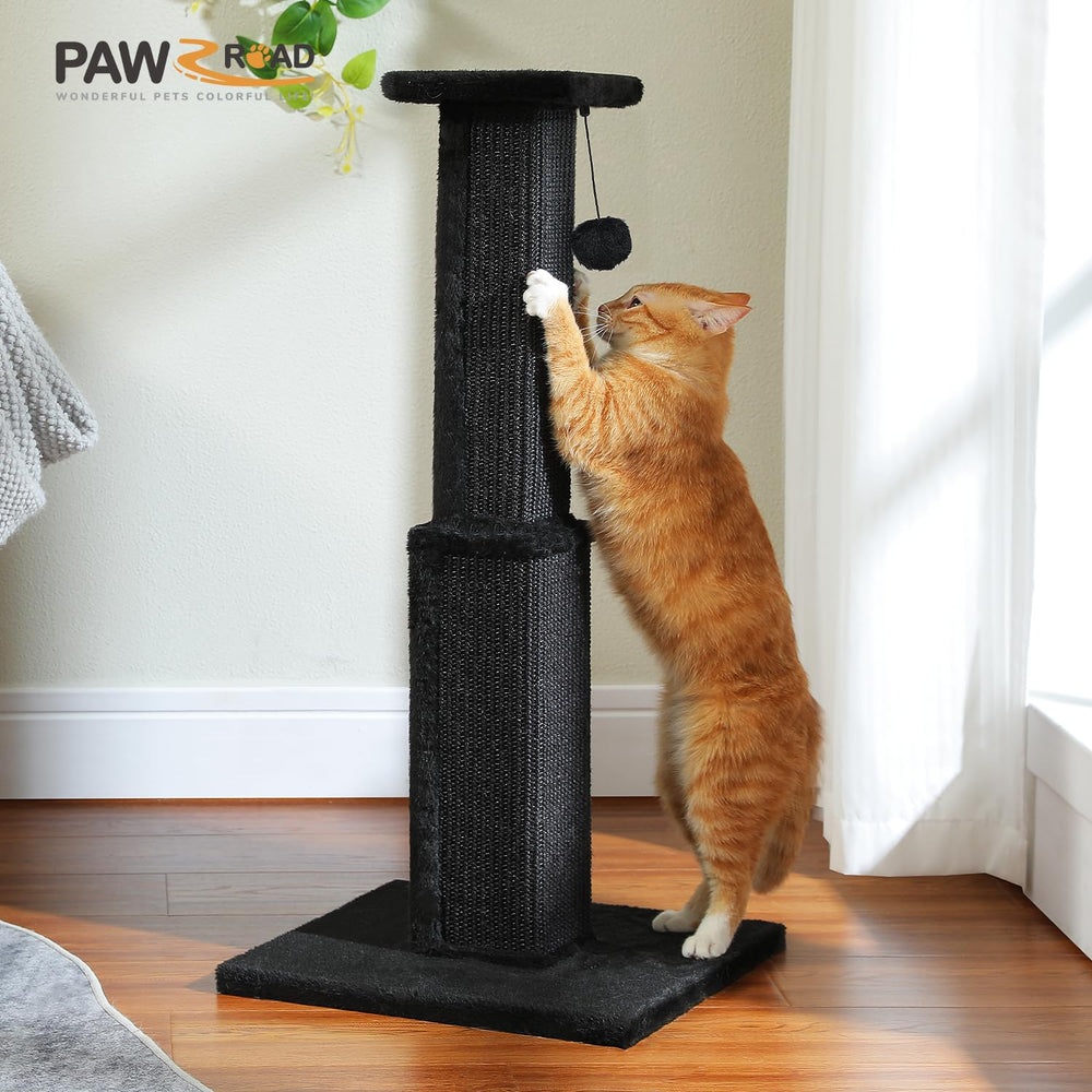 PAWZ Road diseño elegante y negro para interiores de gatos