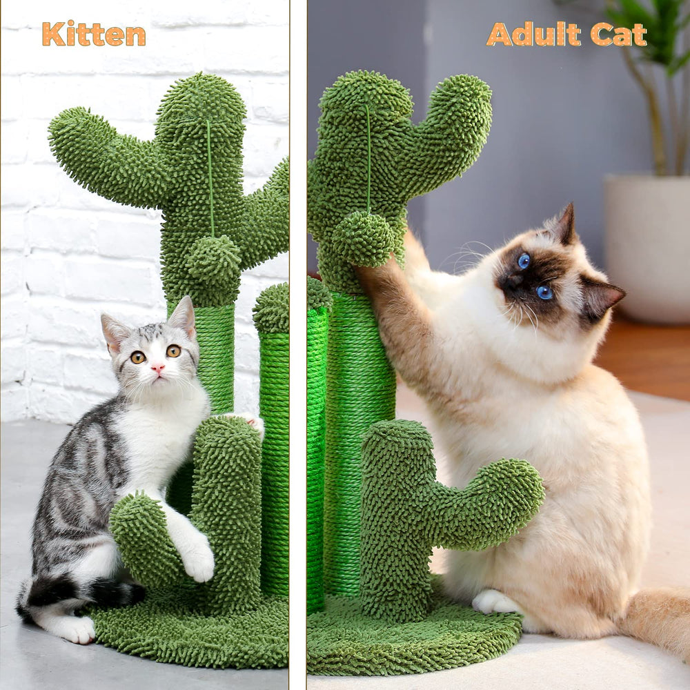 PAWZ Road ensamblaje fácil: montaje rápido sin herramientas.
