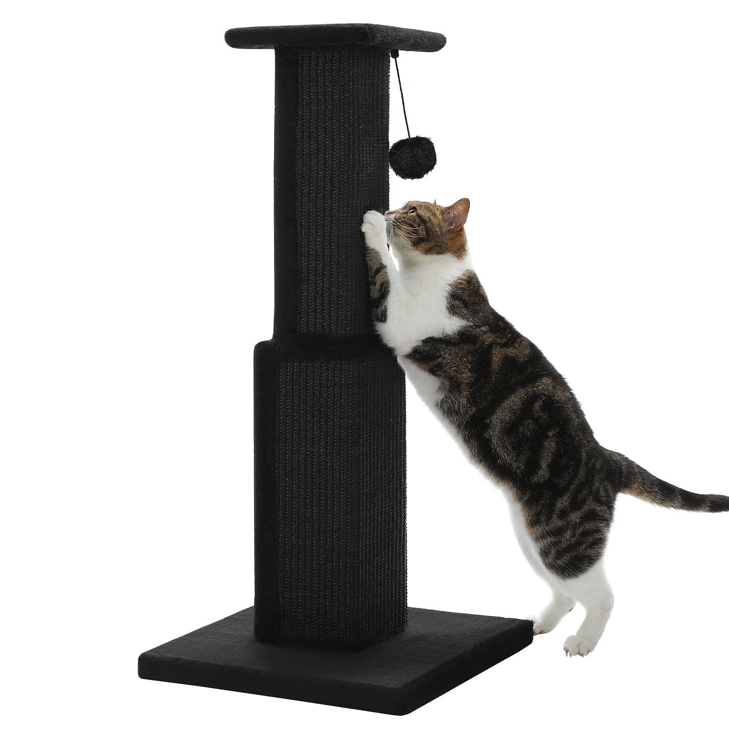 PAWZ Road poste rascado grande 32 pulgadas para gatos grandes y estiramientos