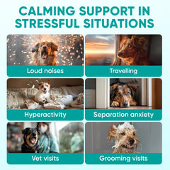 Pawzitive Pets Calming Chews: textura suave para masticar con tranquilidad.