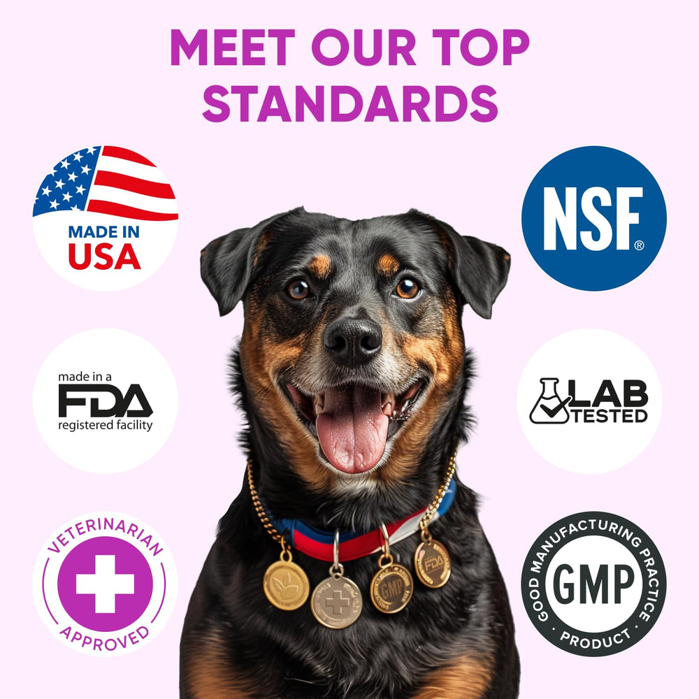 Pawzitive Pets formulado por veterinarios, botella lista para casa.