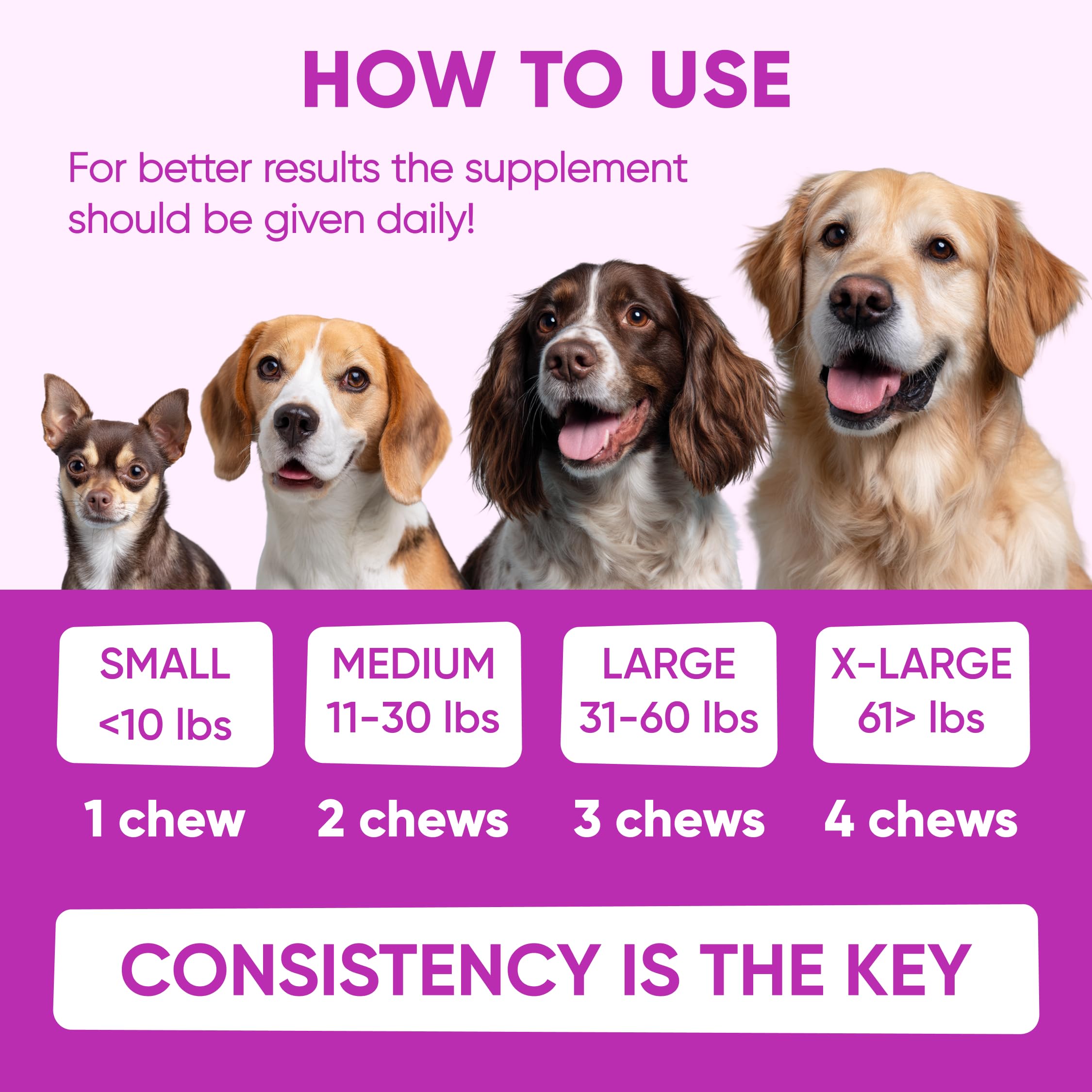 Pawzitive Pets perro feliz tras uso diario, juego relajado.