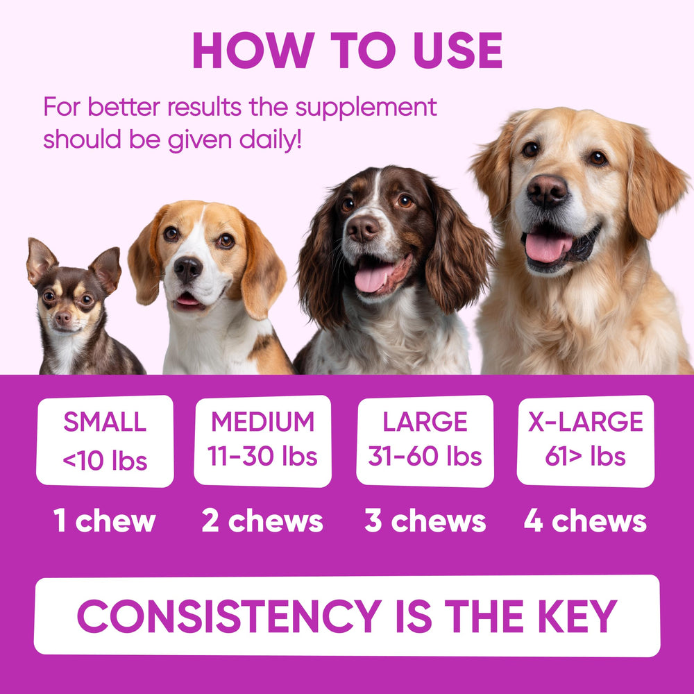 Pawzitive Pets perro feliz tras uso diario, juego relajado.