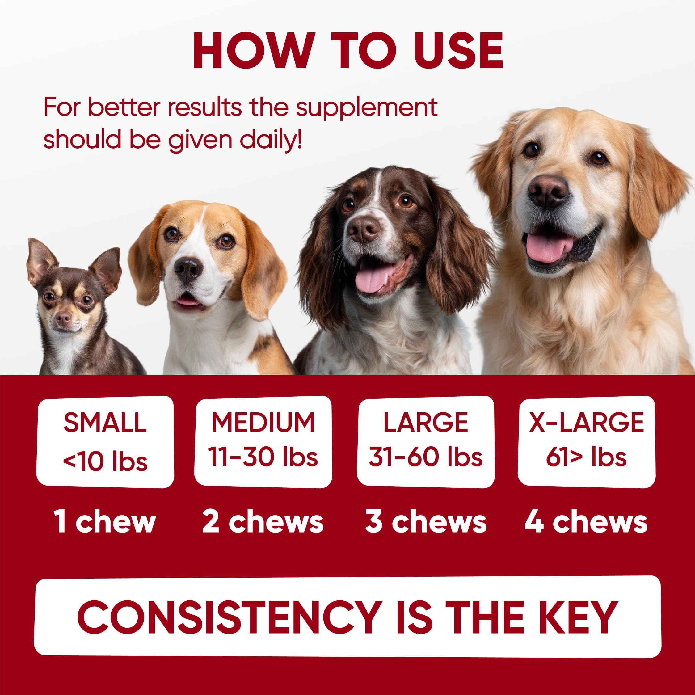 Pawzitive Pets probióticos para perros - refuerzo de inmunidad y bienestar diario
