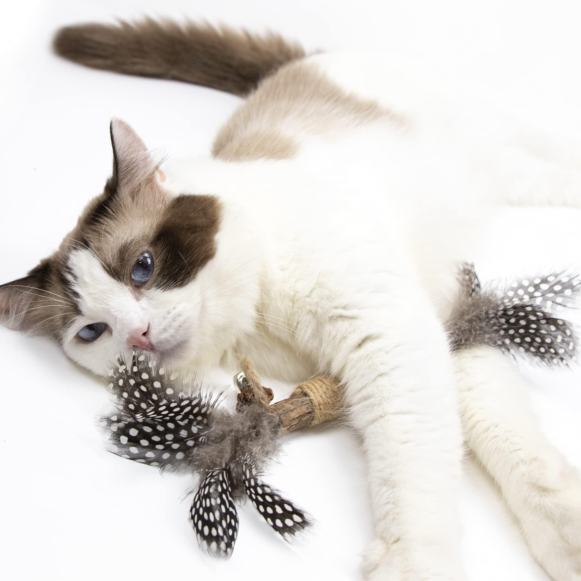 PAZ'S GIFT combinación de matatabi y felpa, experiencia multisensorial para gatos