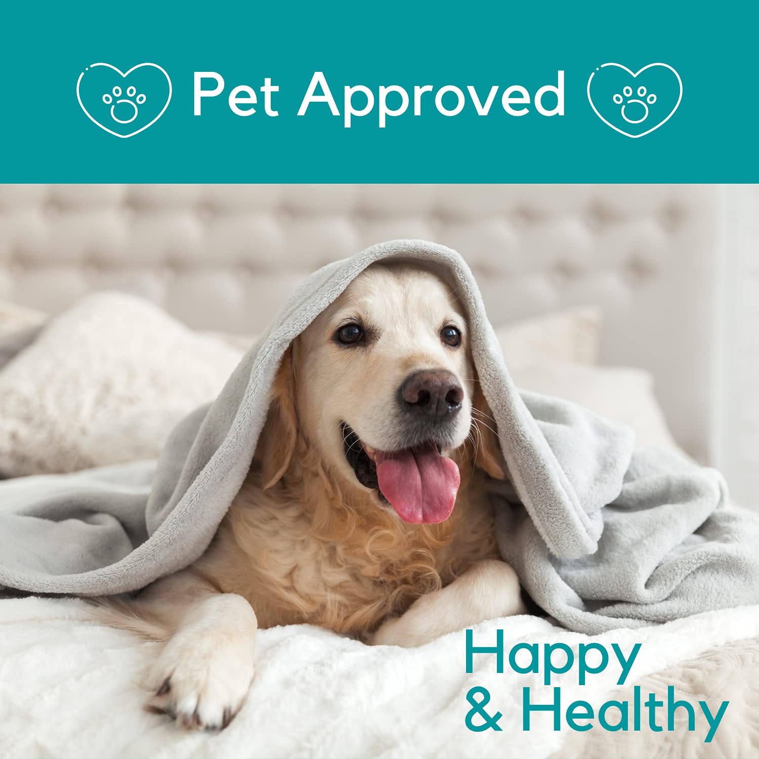 PB Pets Uso diario de aceite de cáñamo para bienestar de perros y gatos.