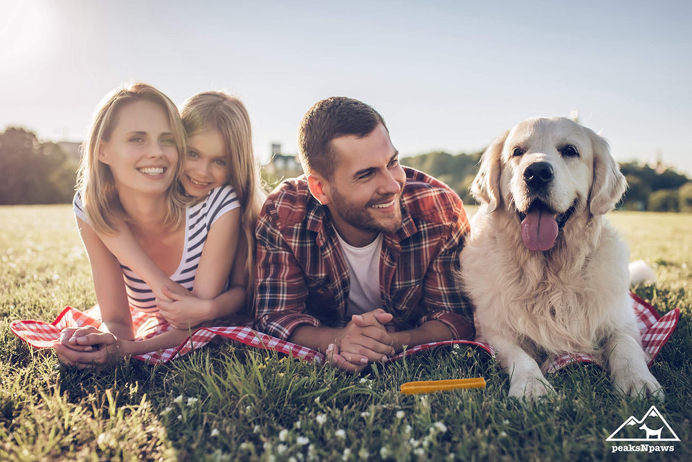 PeaksNpaws durabilidad-para-masticadores-intensos: premio duradero para perros activos.