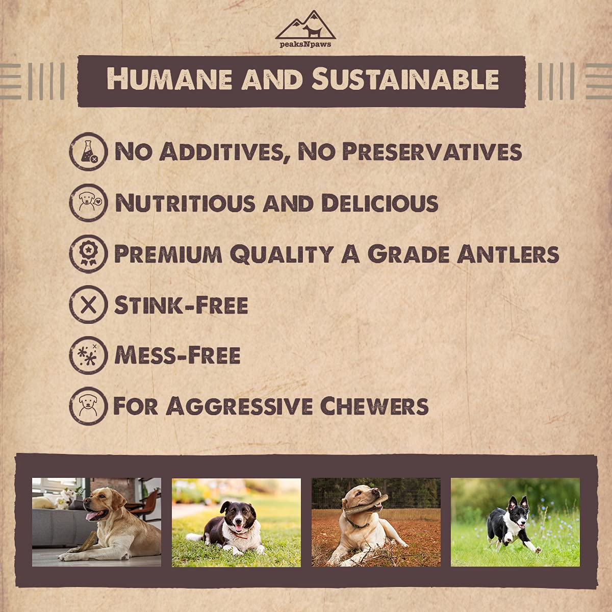 Masticable PeaksNPaws de larga duración para mordedores agresivos.