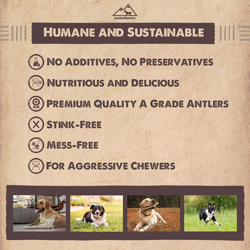 Masticable PeaksNPaws de larga duración para mordedores agresivos.