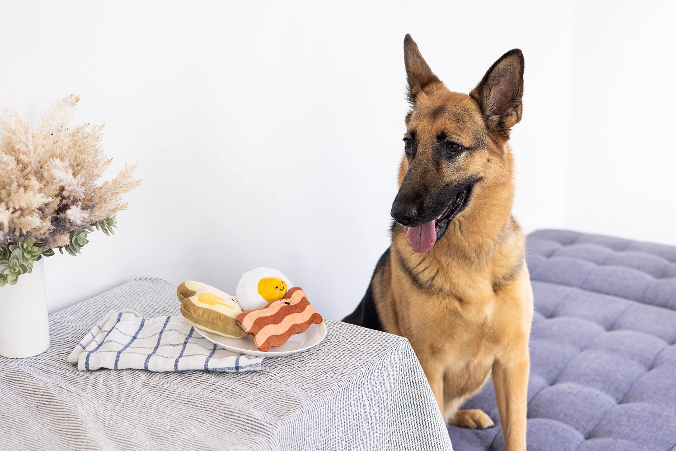 Pearhead Barkfast conjunto de juguetes para perro para juego prolongado.