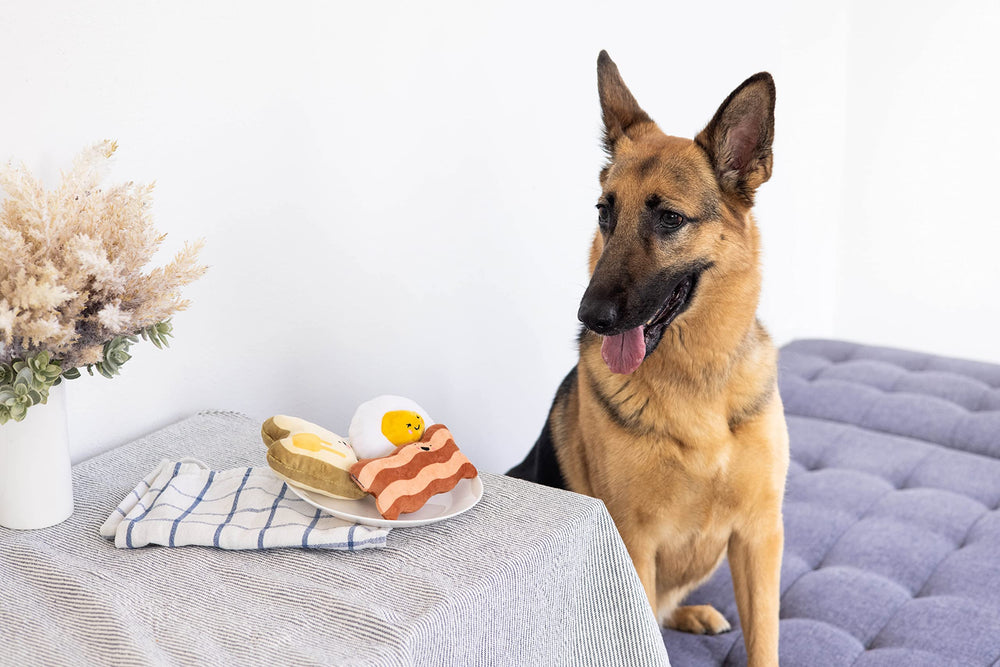 Pearhead Barkfast conjunto de juguetes para perro para juego prolongado.