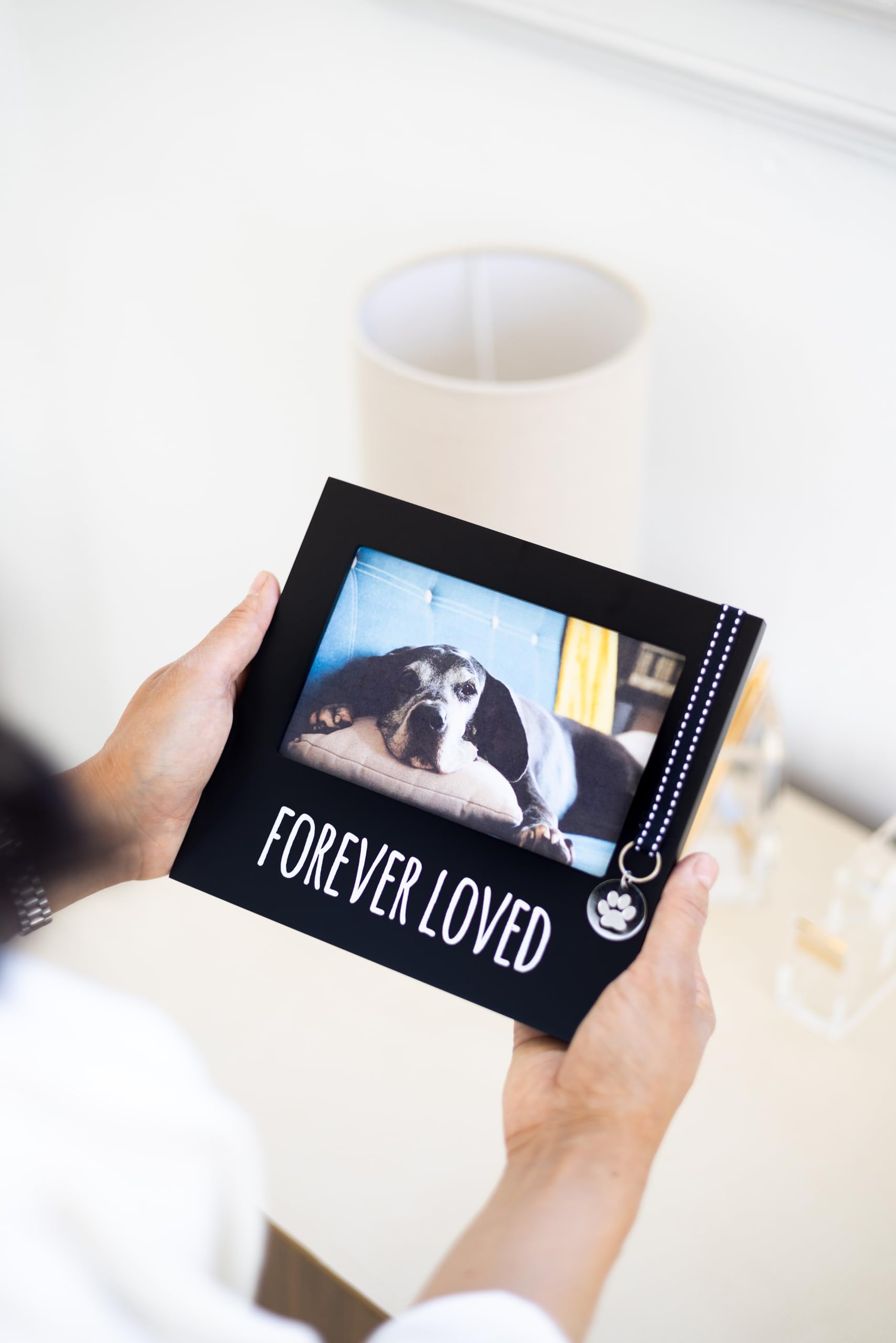 Pearhead regalo conmemorativo para mascotas, muestra de cariño duradero