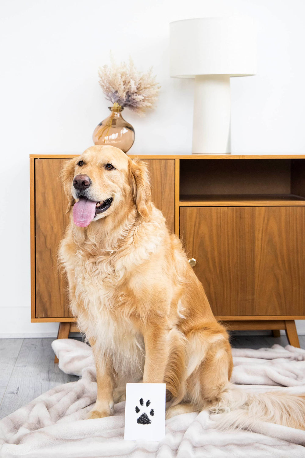 Pearhead scrapbooking con impronta de pata: crea recuerdos duraderos.