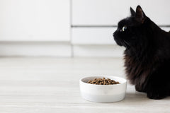 Capacidad de 12 oz para comida, croquetas o agua del gato