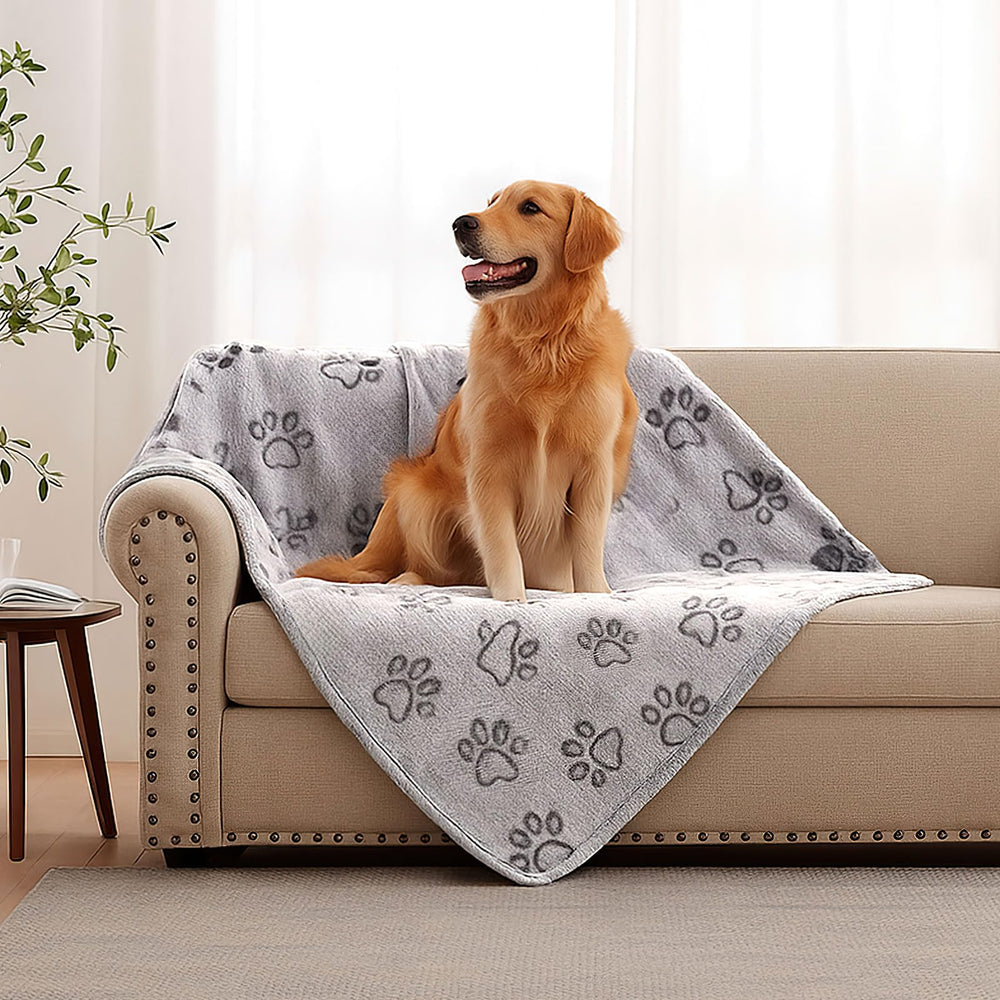 Ideal para cachorros y mascotas pequeñas para un refugio seguro.