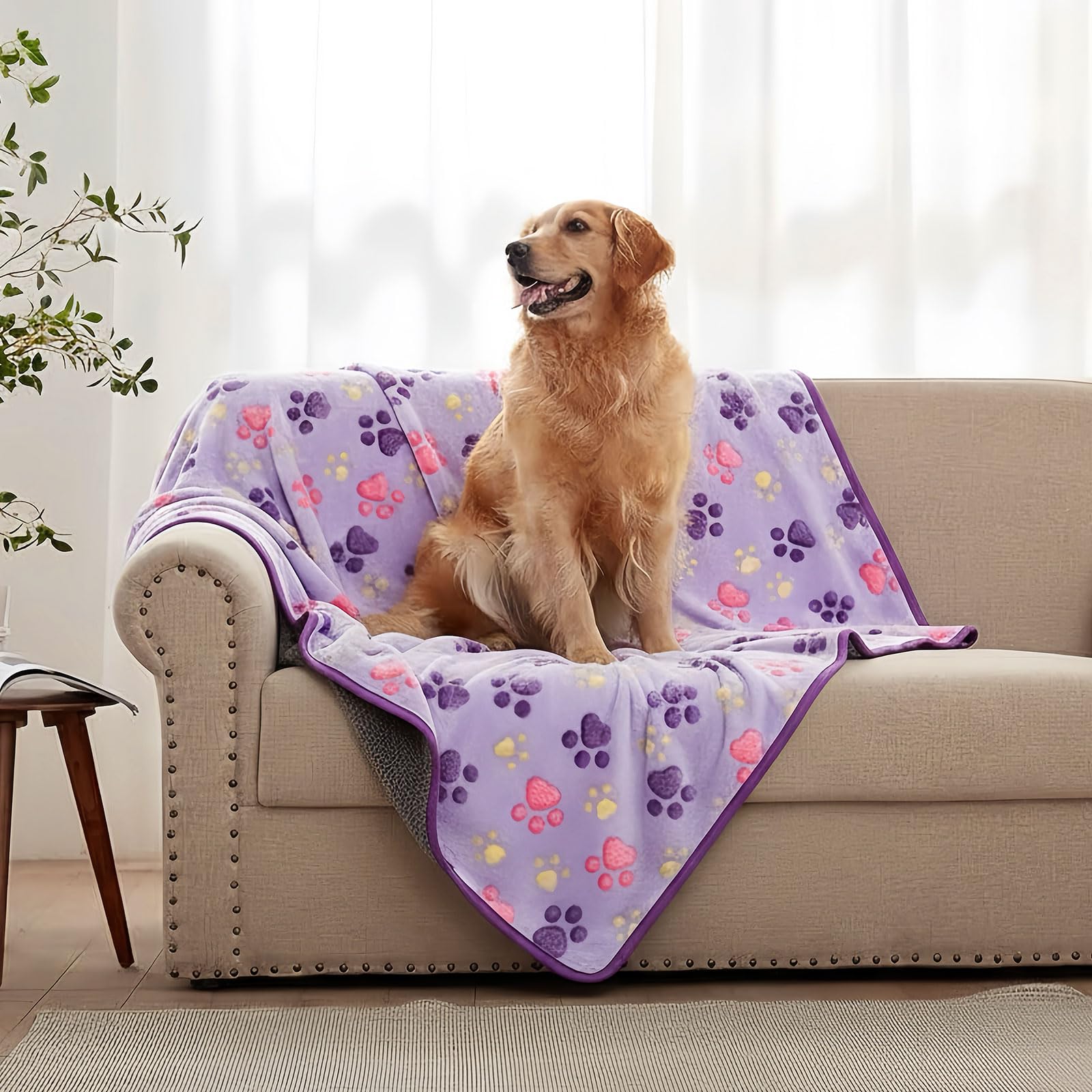 Manta PEASUG morada 41x30 para perros pequeños.