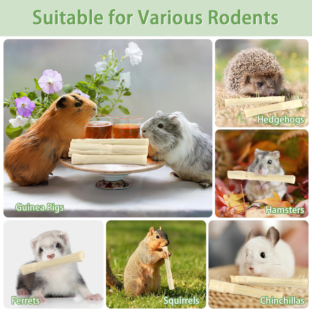 PEASUG variedad de animales: apto para conejos, chinchillas, cobayas y mas.