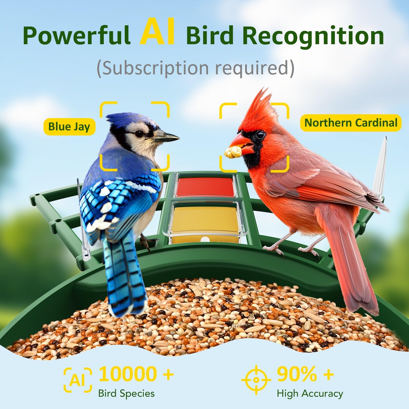PeckCam accesorios de posadero y portadores de fruta para atraer más aves