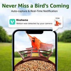 PeckCam identifica aves con IA para enriquecer la observación.