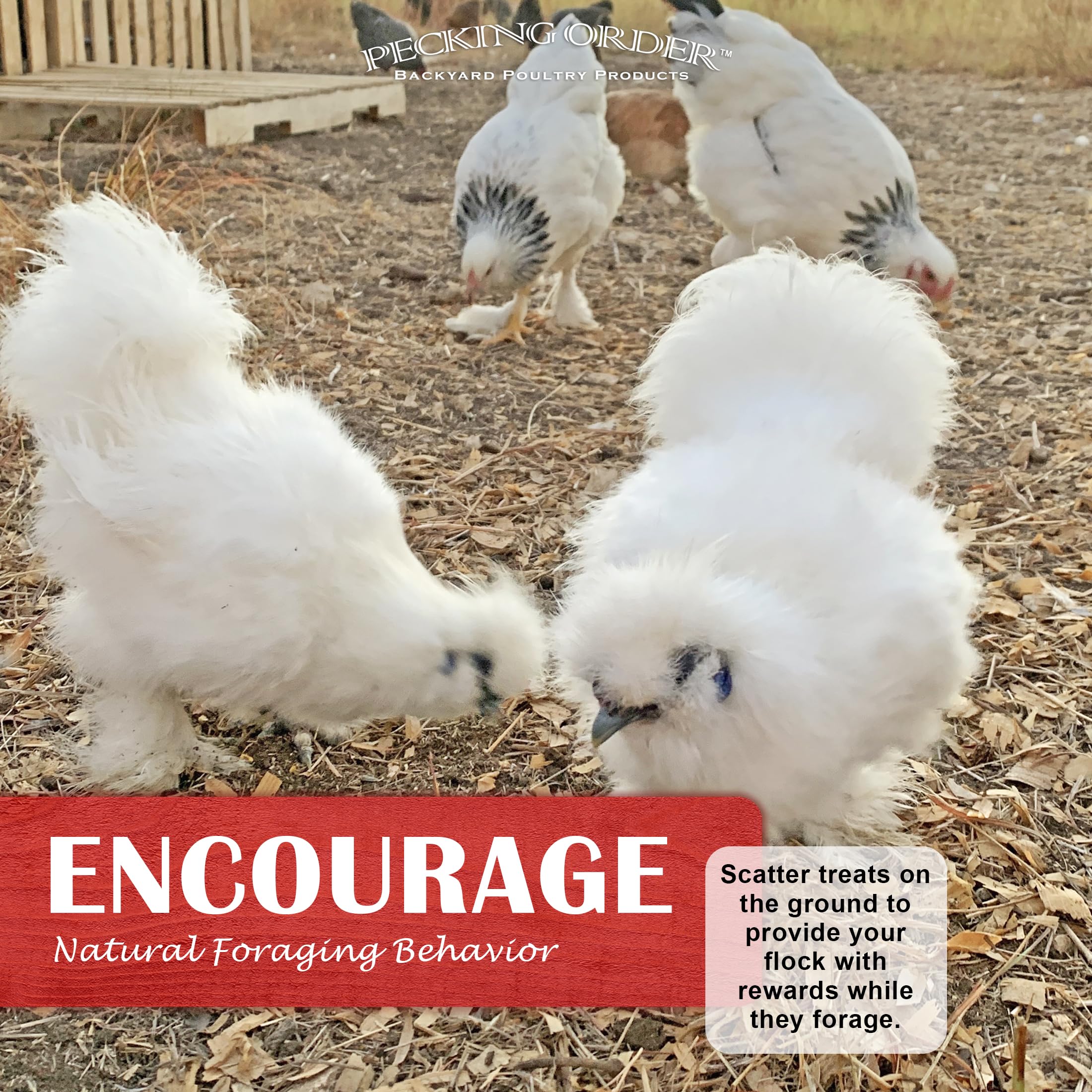 Pecking Order 9328: detalle de embalaje sostenible que conserva la frescura