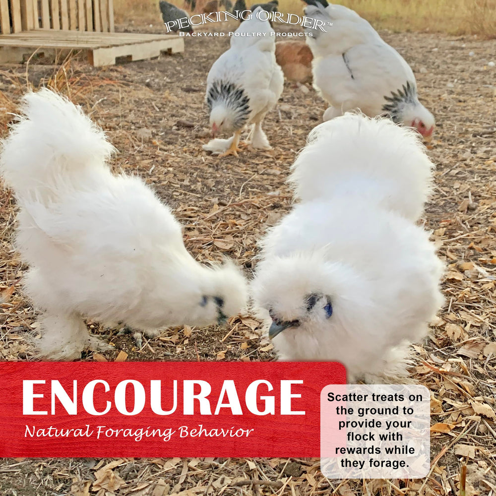 Pecking Order 9328: detalle de embalaje sostenible que conserva la frescura