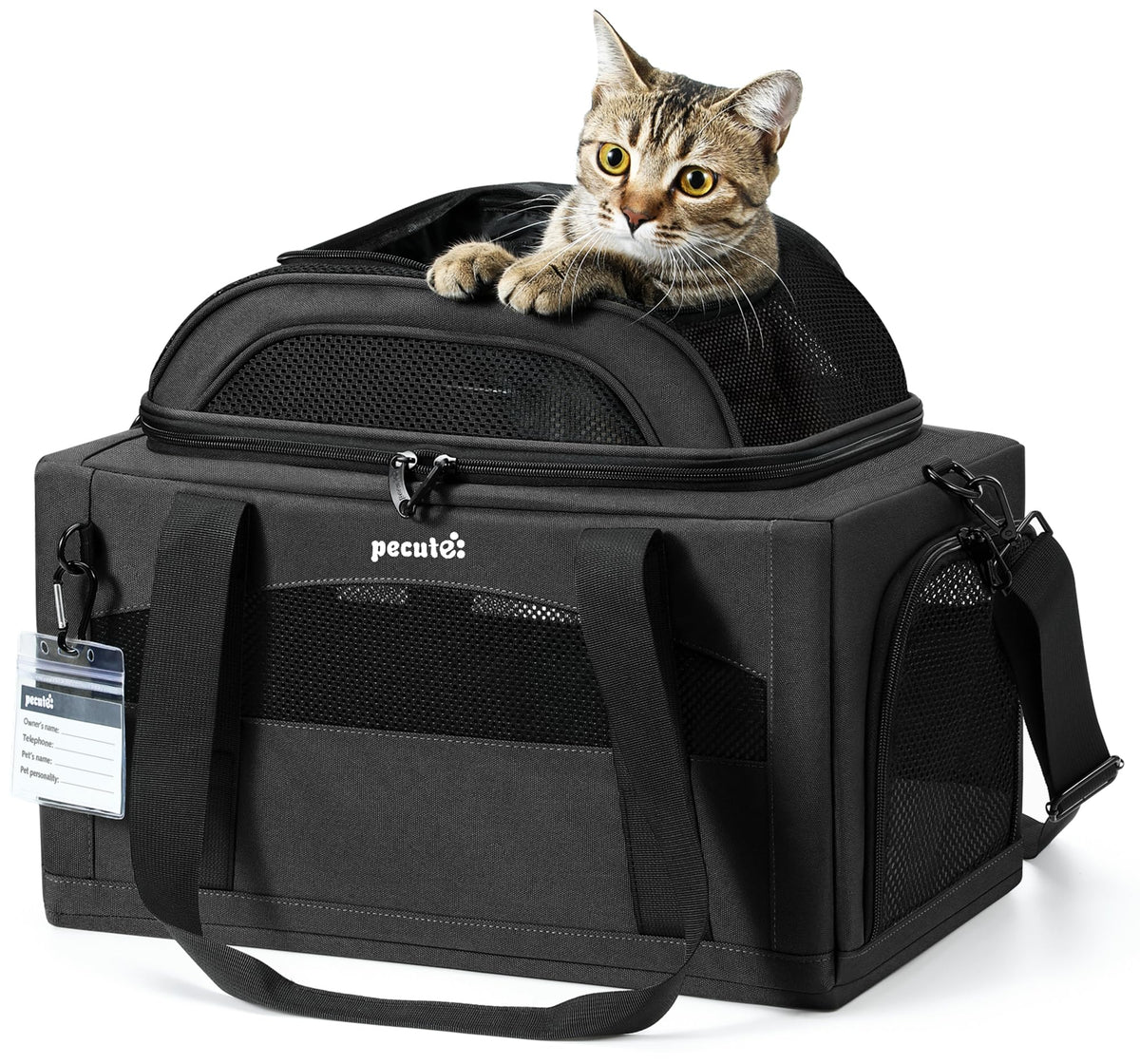 Pecute Expandable Carrier: vista frontal para revisión rápida de tu mascota