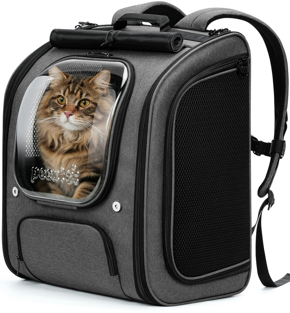 Pecute Gato Mochila burbuja: espacio grande para viajar con tu mascota