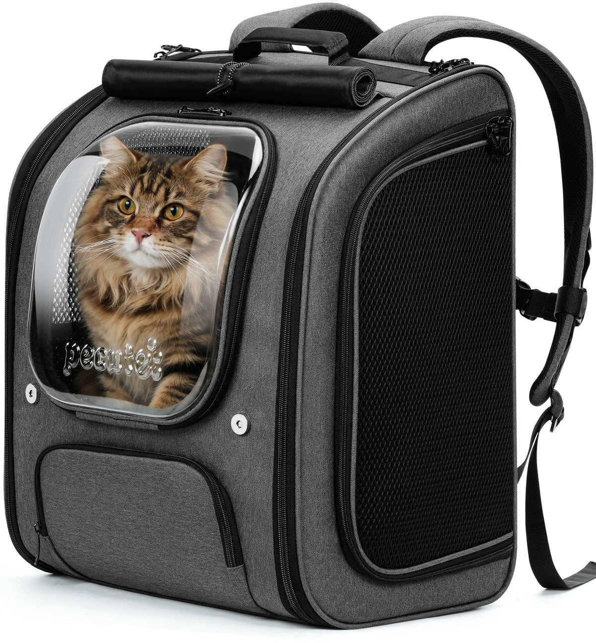 Pecute Gato Mochila burbuja: espacio grande para viajar con tu mascota