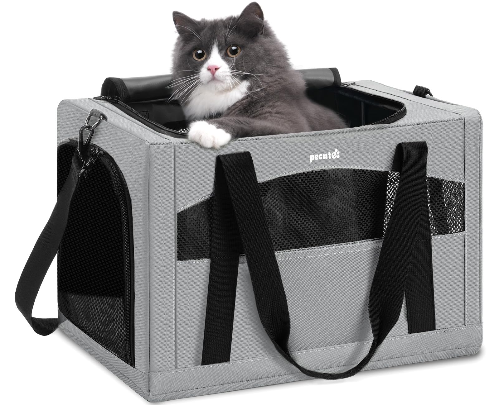 Portador de gatos Pecute con estructura de acero para viajes seguros