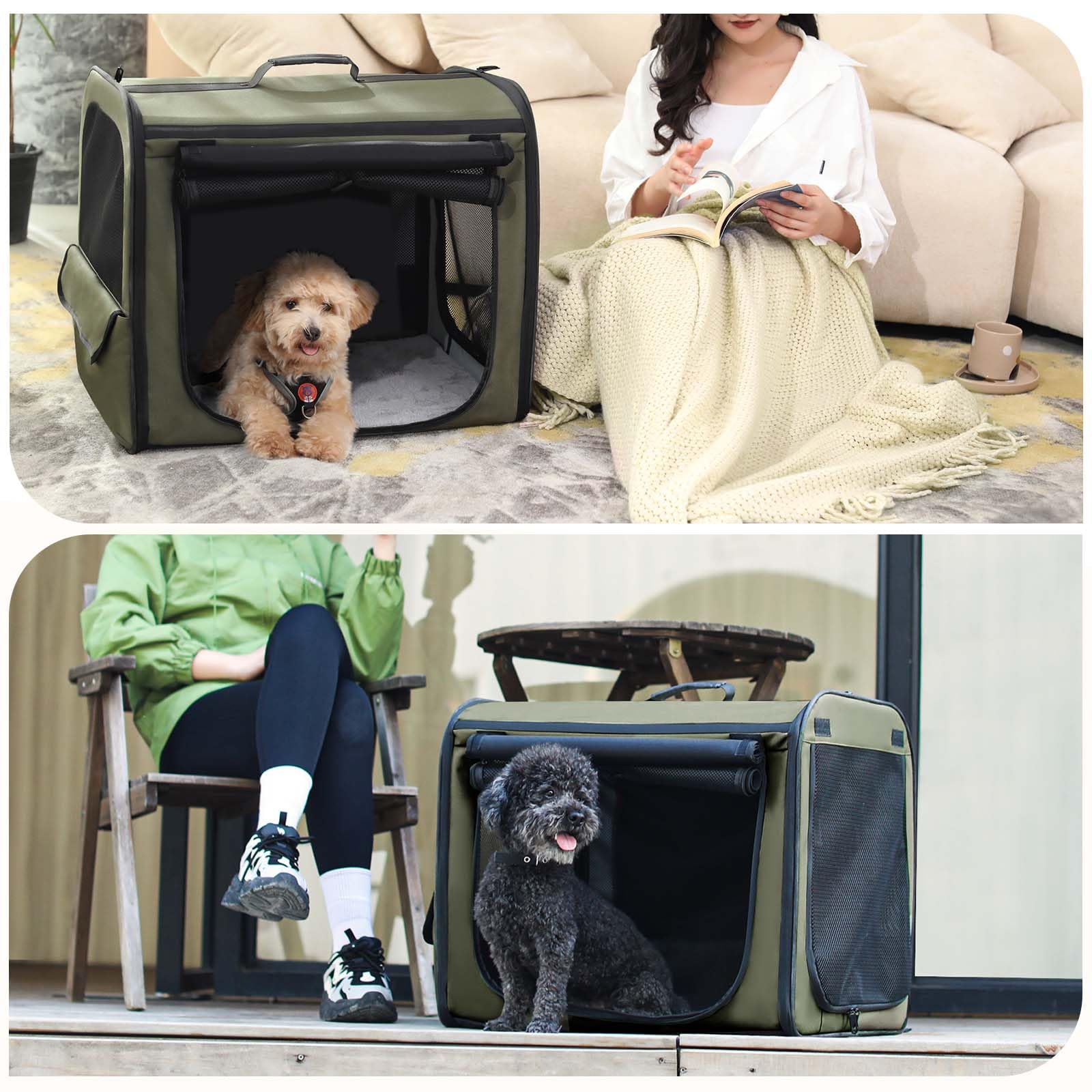 Pecute transportín con ventilación adecuada y visibilidad