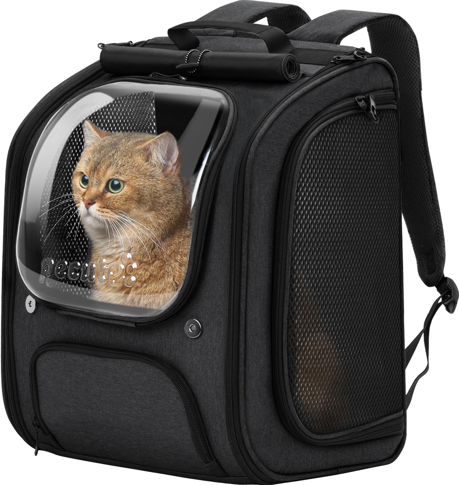 Pecute Mochila gato con burbujas y espacio amplio para viajar cómodo.