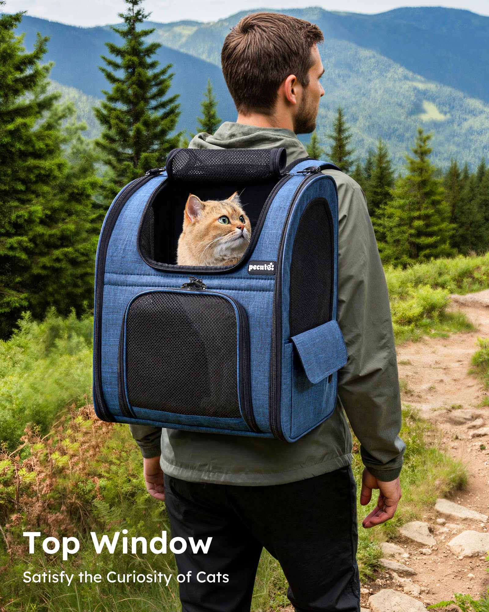 Pecute Mochila Gato Correas ergonómicas respaldo cómodo durante caminatas