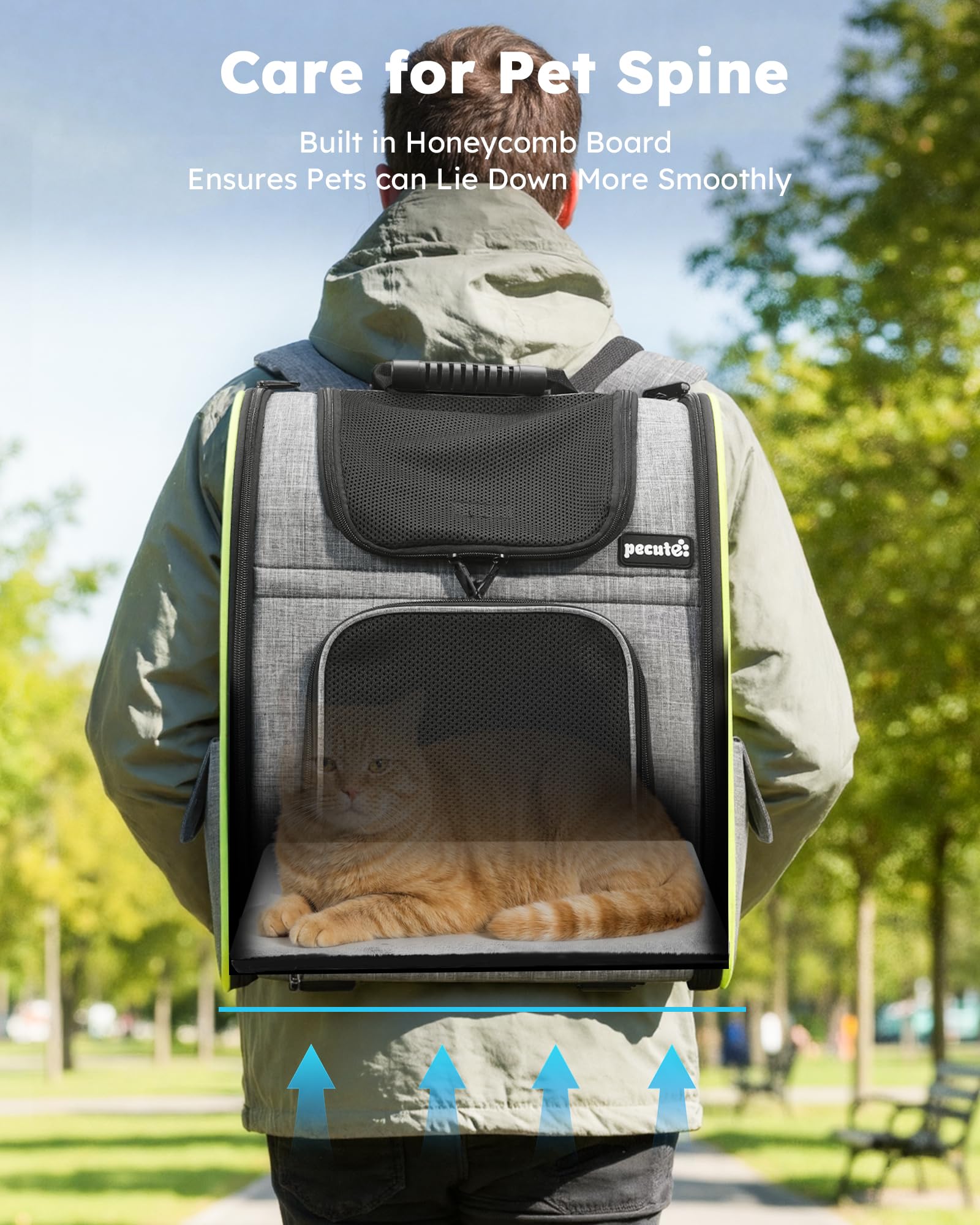 Pecute Mochila para aventuras al aire libre, perfecta para explorar con tu gato.