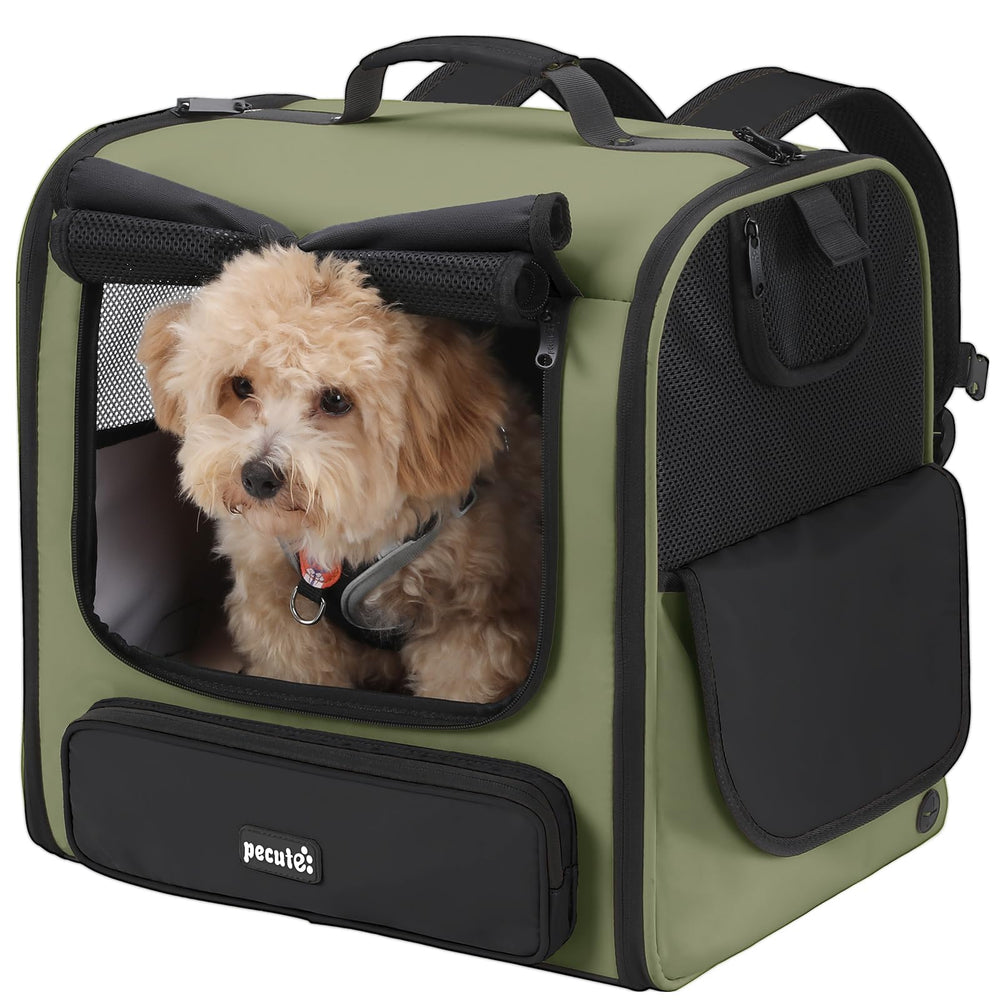 Mochila pecute porta-gatos interior espacial para libertad de movimiento