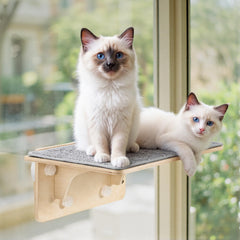 Pecute percha gato ventana 21x11 ofrece descanso elevado junto a la luz natural.
