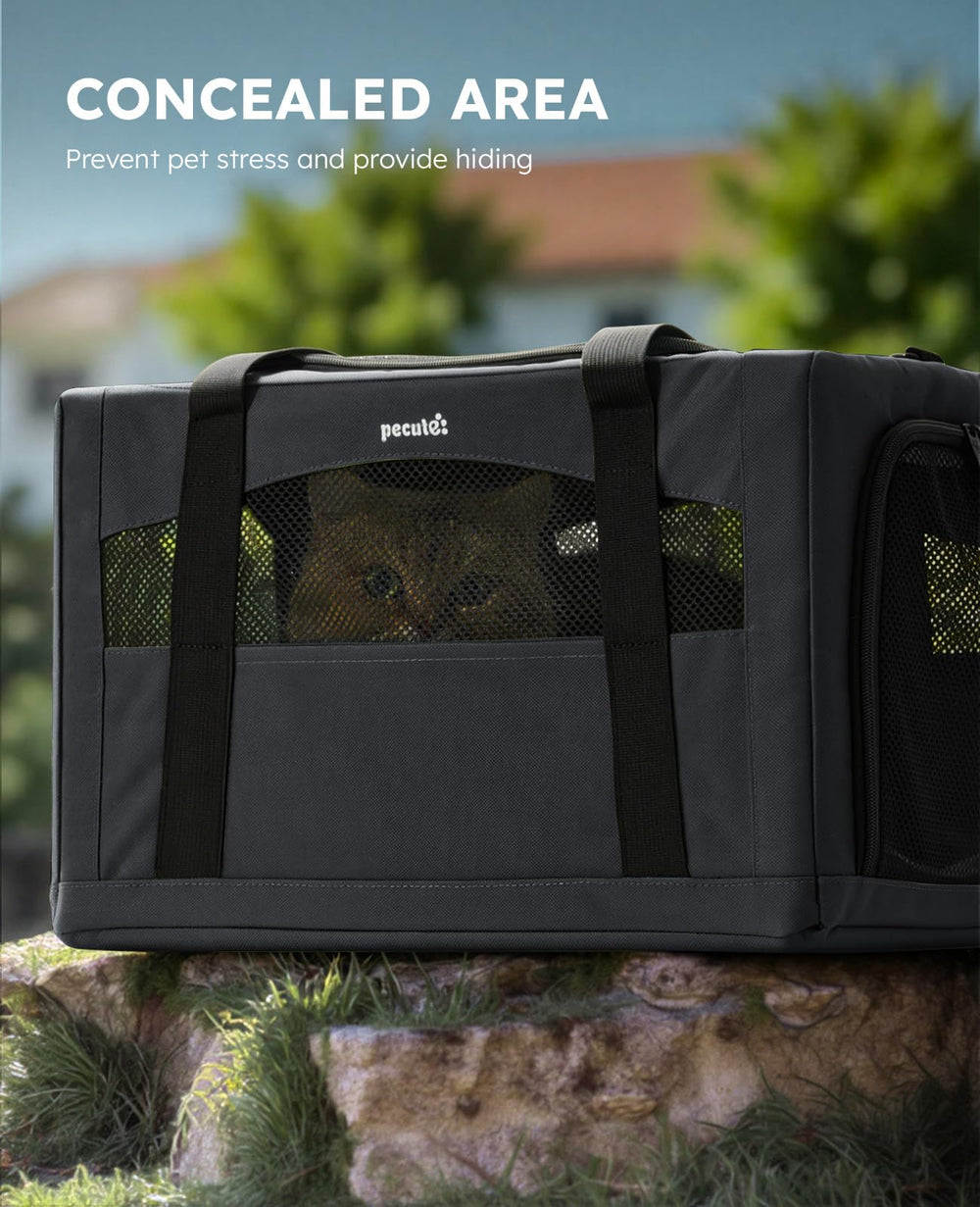 Pecute porta-gato para viaje en coche con base estable