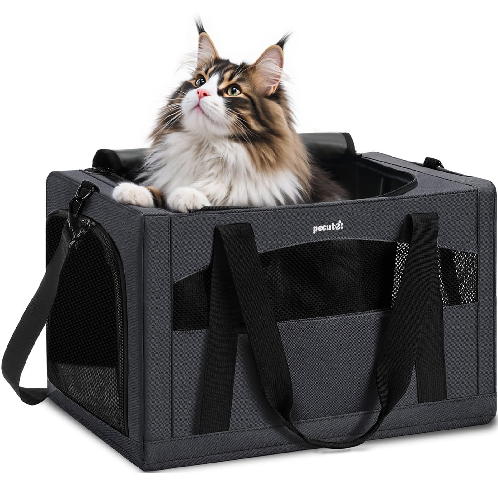 Pecute porta-gato ventilada para viaje cómodo