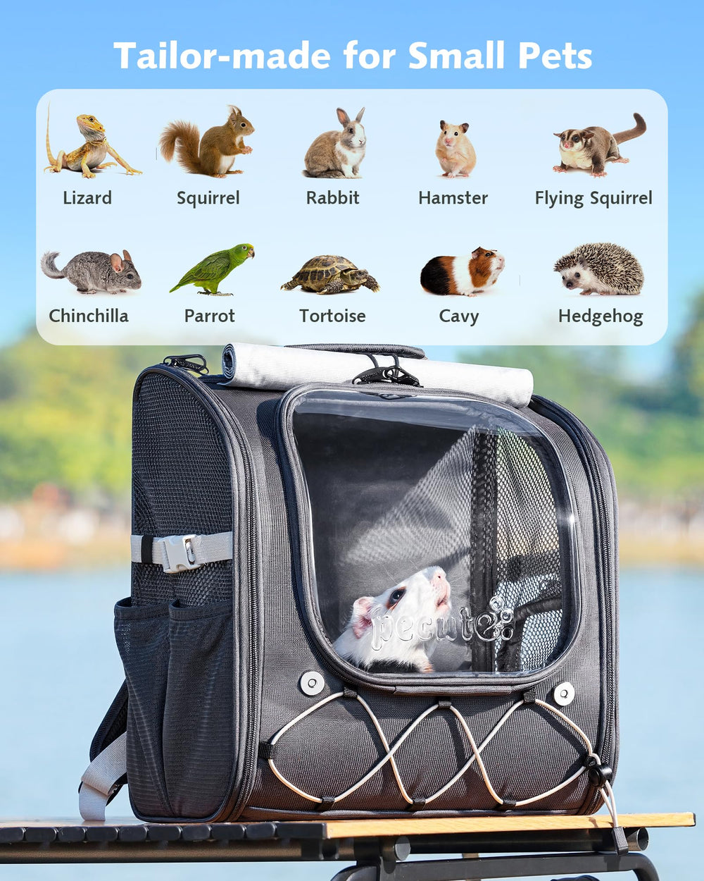 Pecute portamascotas diseño plegable para almacenamiento