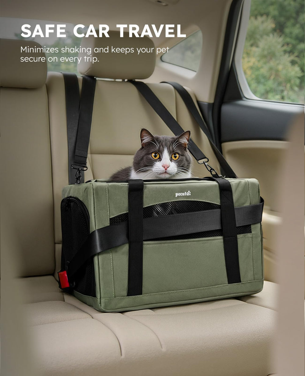 Pecute transportín gato con cinturón de seguridad para coche, viaje más seguro.
