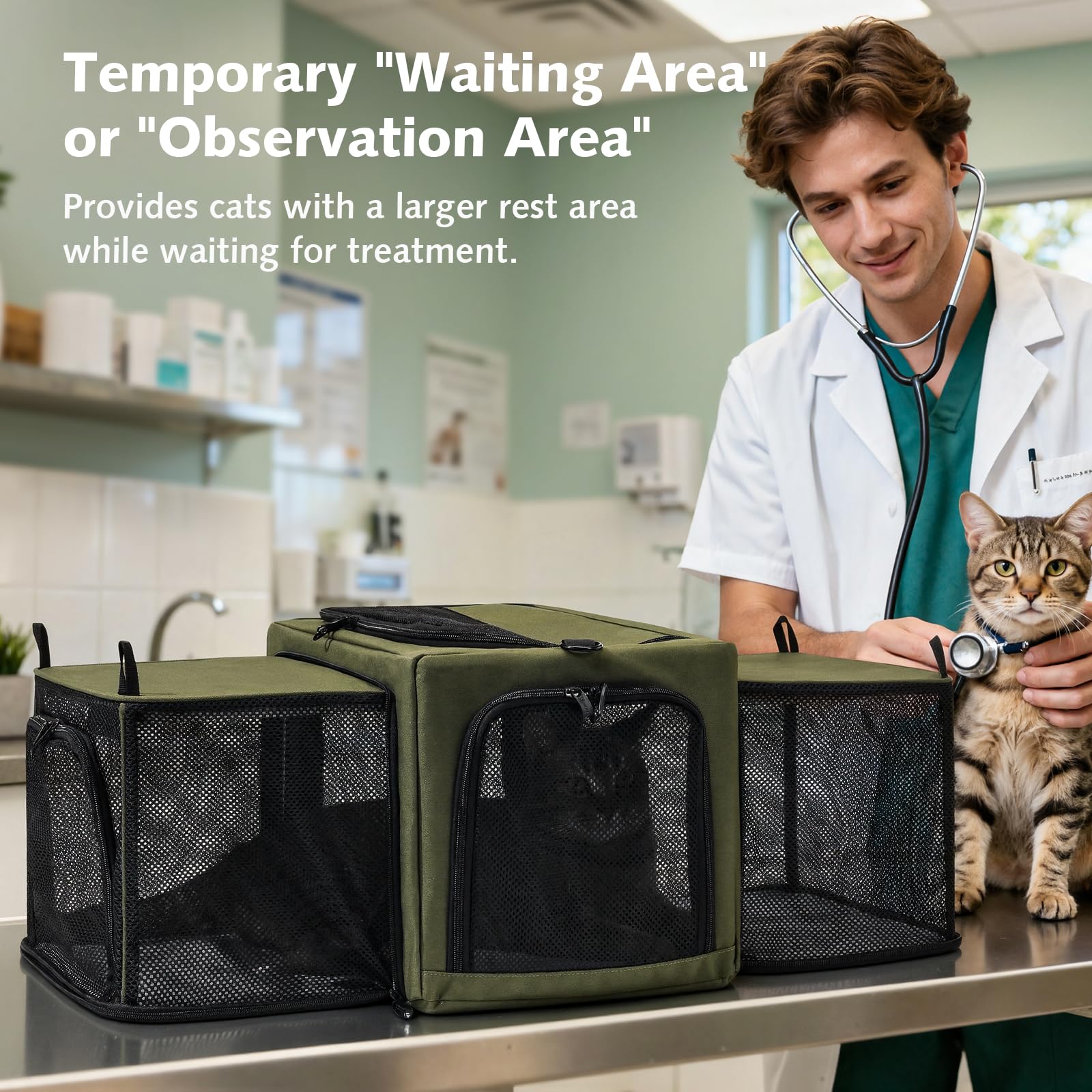 Pecute transportín para gato con cojín interior suave para descanso