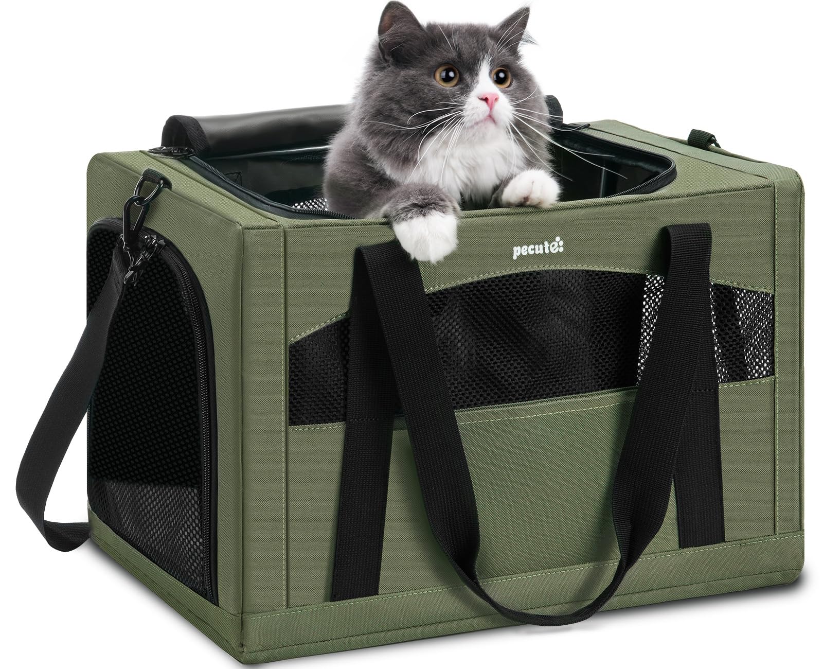 Pecute transportín gato estable con marco de acero verde, diseño seguro para viajes en coche.