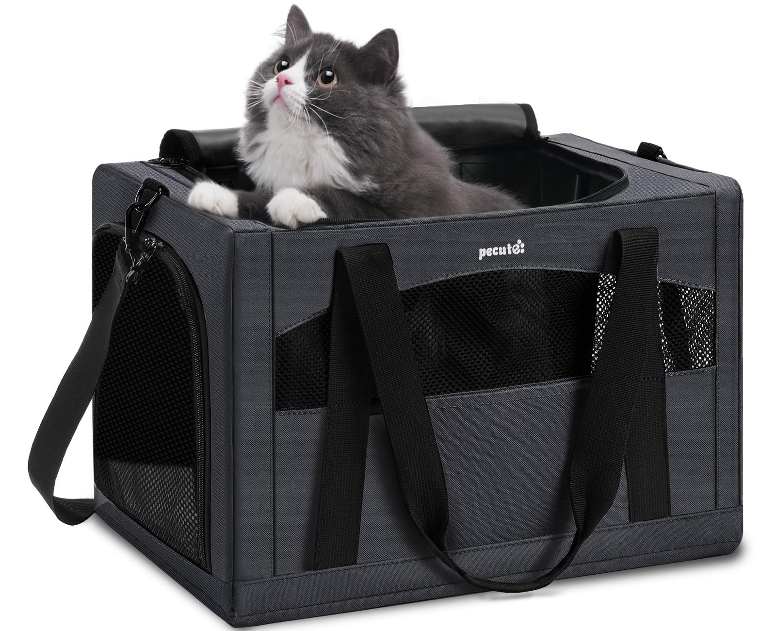 Pecute transportín para gato, estructura estable que evita colapso durante el viaje.
