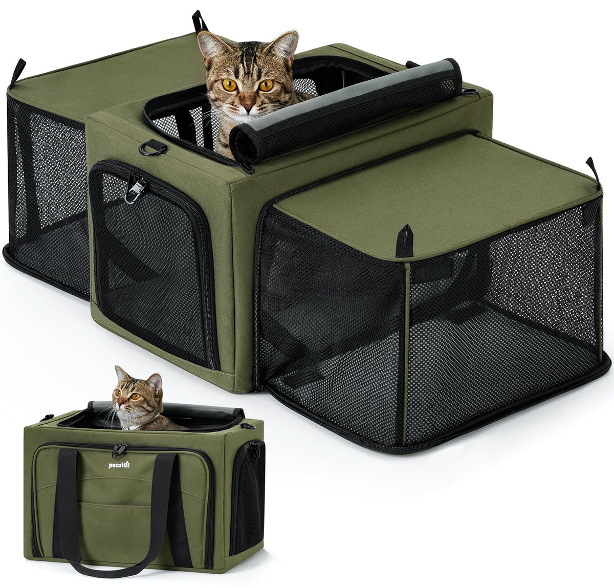 Pecute transportín para gato expandible con dos lados para más comodidad durante viajes