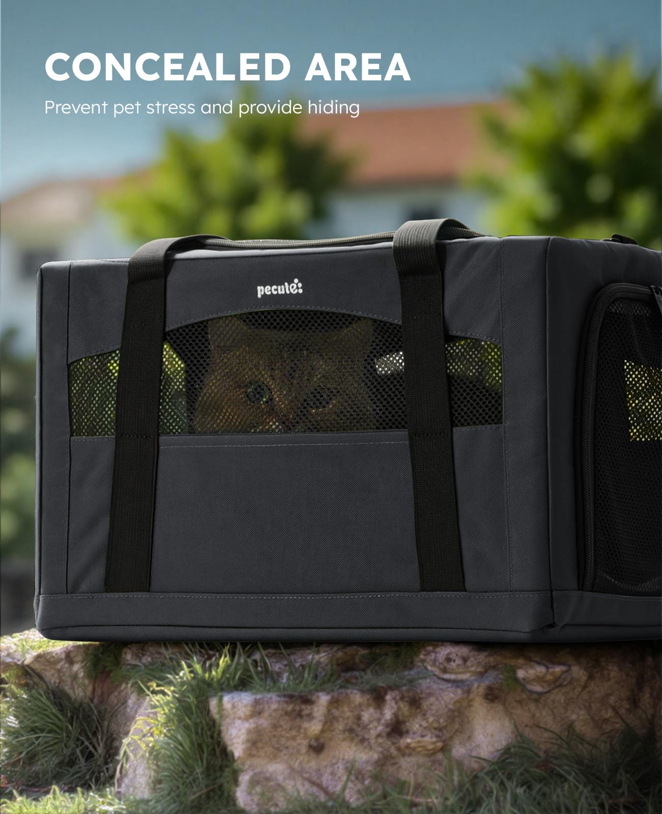 Pecute transportín con malla transpirable para buena circulación de aire.
