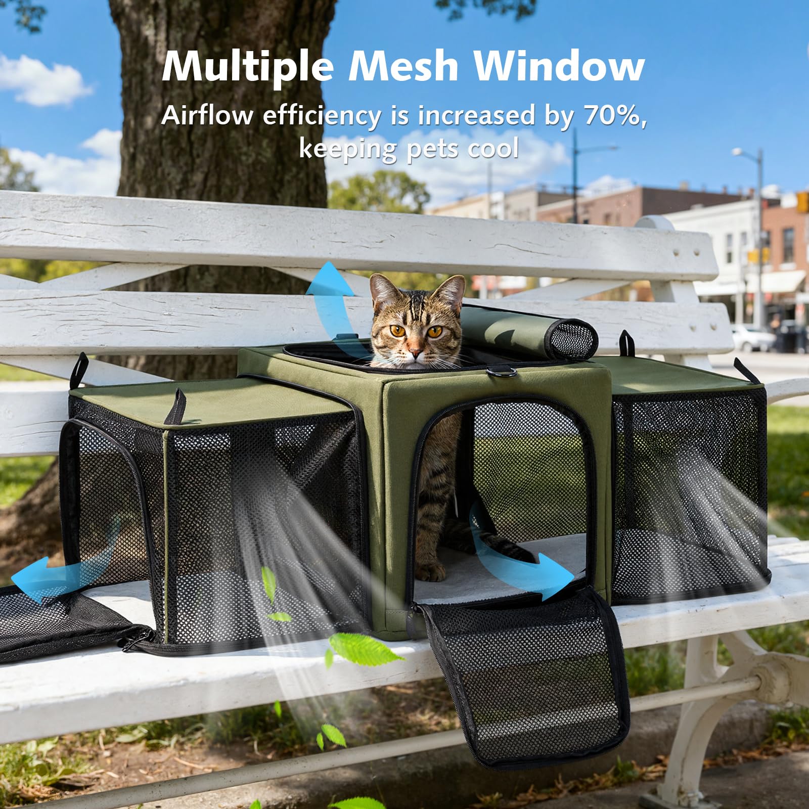 Pecute transportín para gato viaje en coche con correa integrada