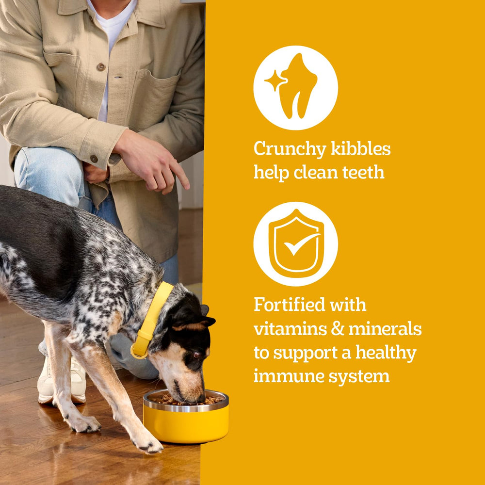 Pedigree omega-6 y zinc, piel y pelaje saludables.
