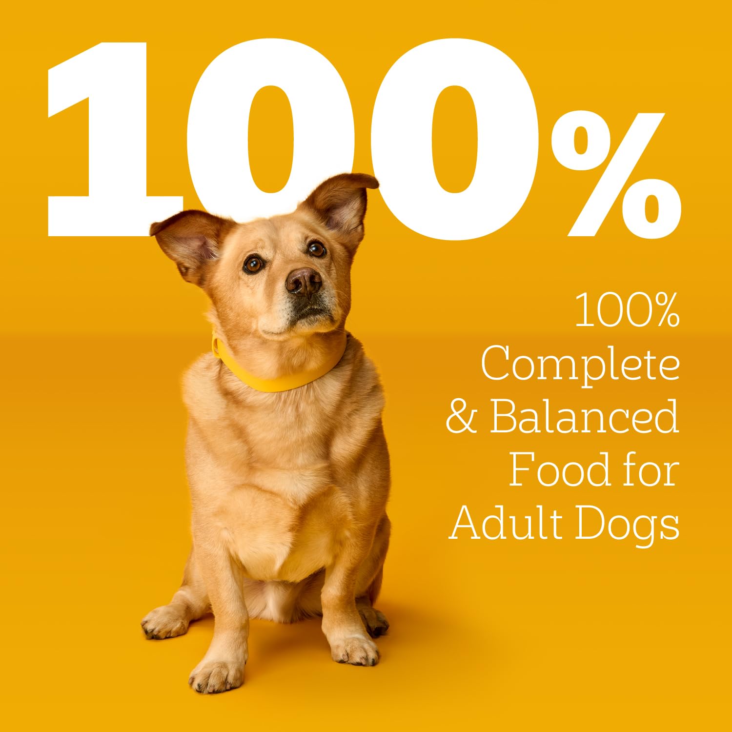 Textura suave de Pedigree Choice Cuts Gravy para mezclar