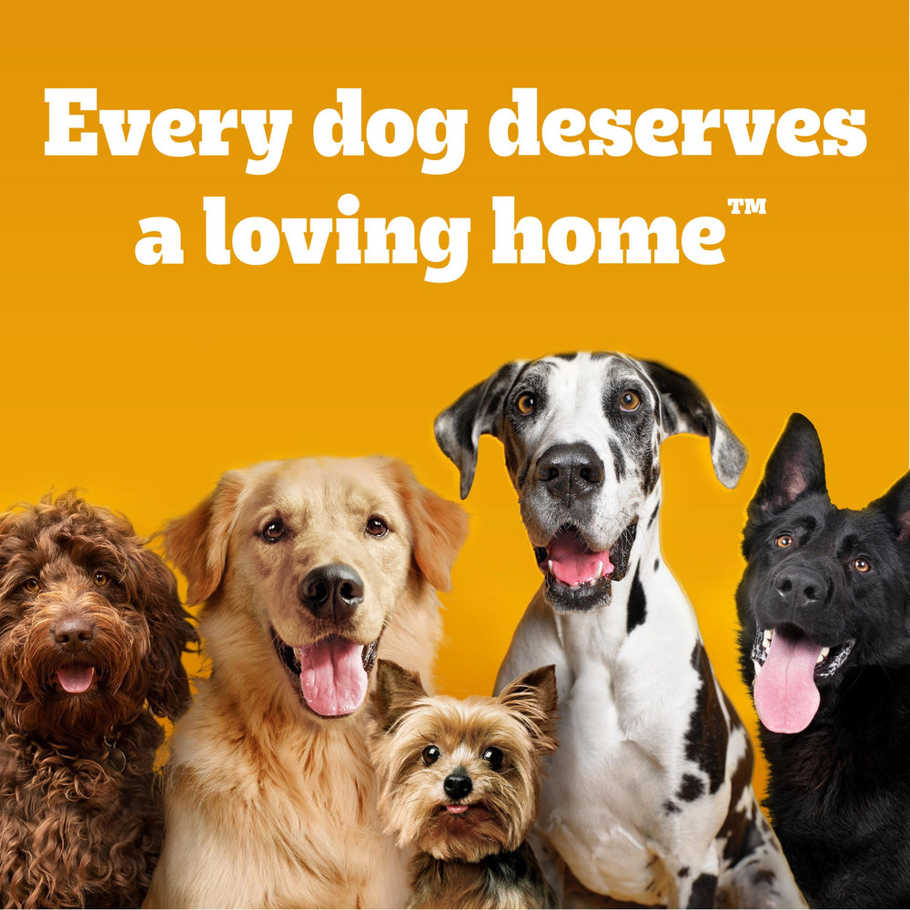Pedigree Drizzlers, sin preservantes artificiales para mantener la pureza de la fórmula.